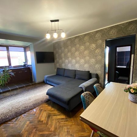 Comfort Home Apartment 2 Petrosani Luaran gambar