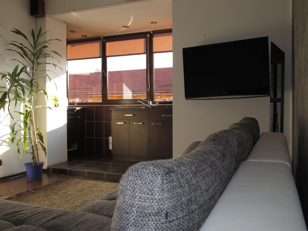 Comfort Home Apartment 2 Petrosani Luaran gambar